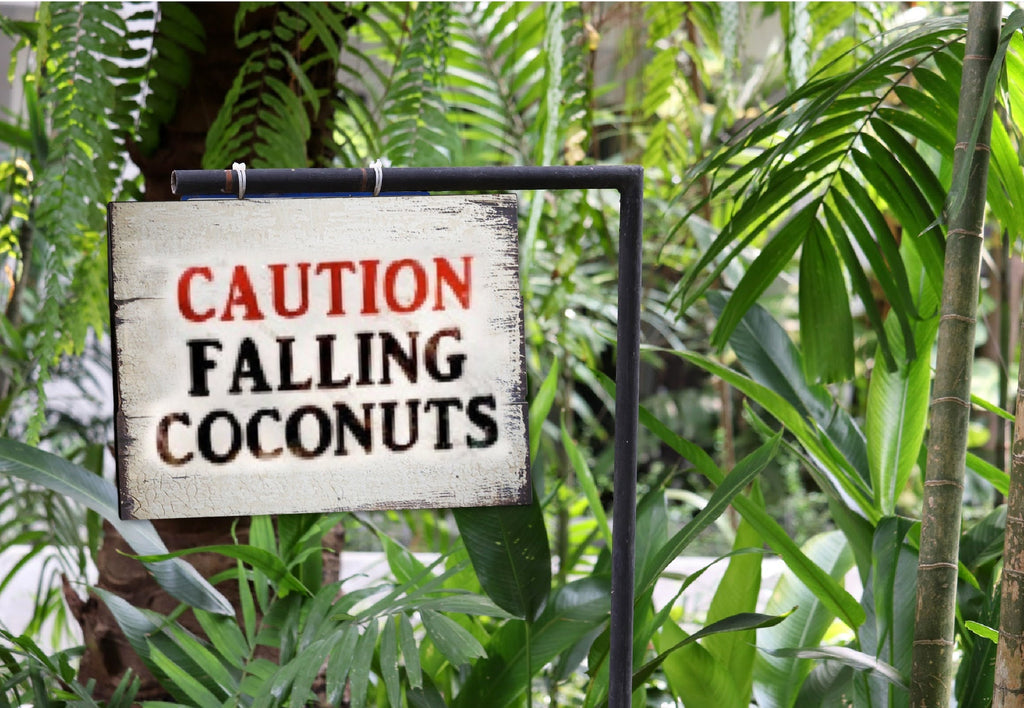 Caution Falling Coconuts Tiki Sign